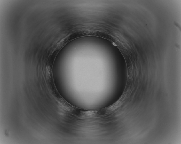 X0000090970184200708301234