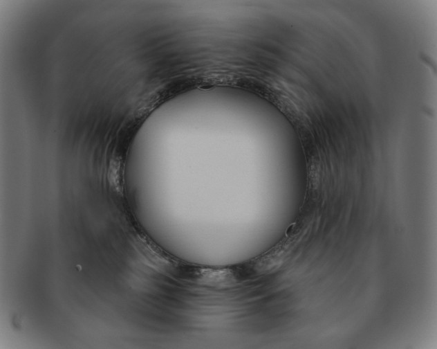 X0000090970185200708301234