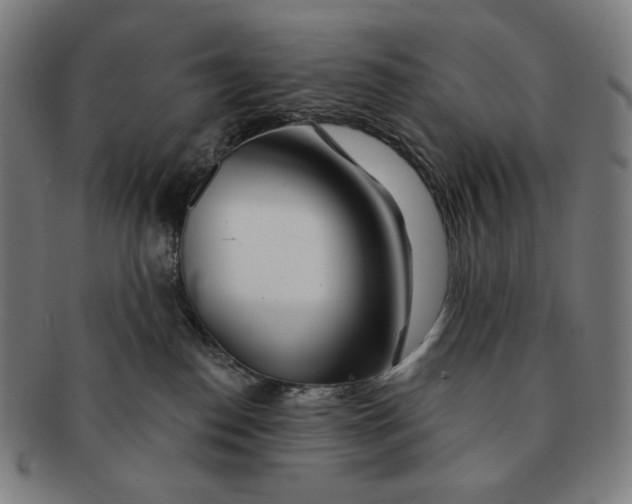 X0000090970186200708301234