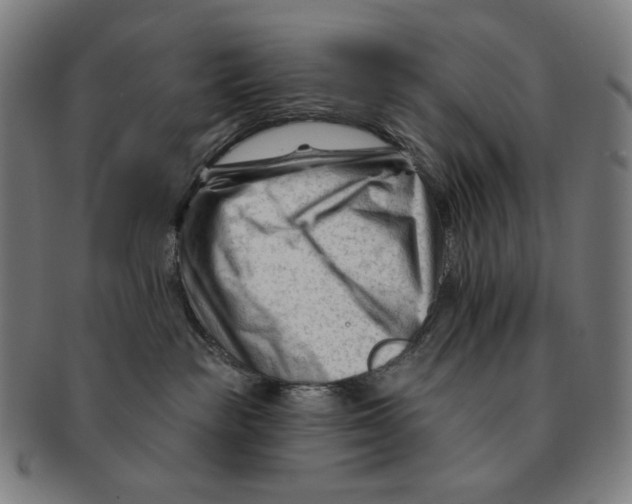 X0000090970189200708301234