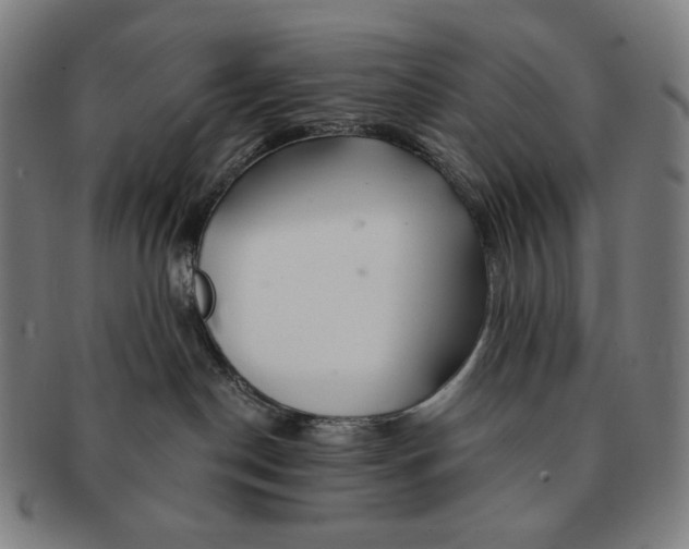 X0000090970190200708301234