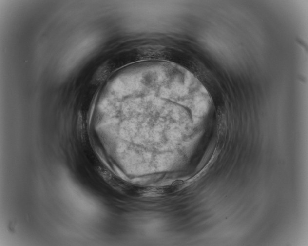 X0000090970191200708301234