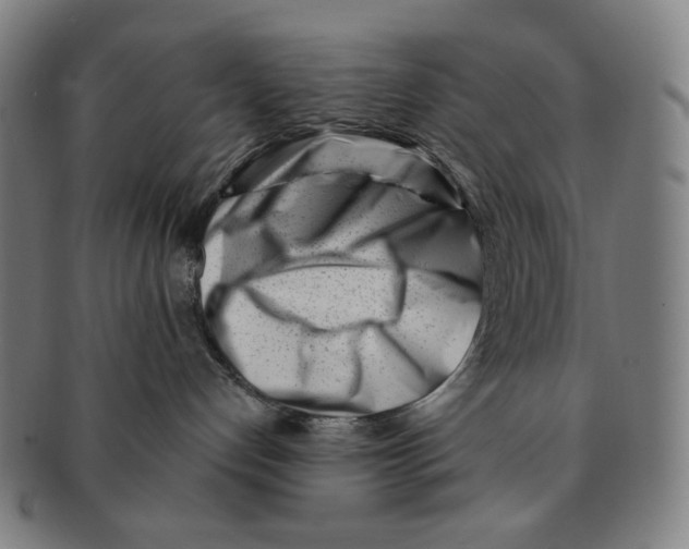 X0000090970192200708301234