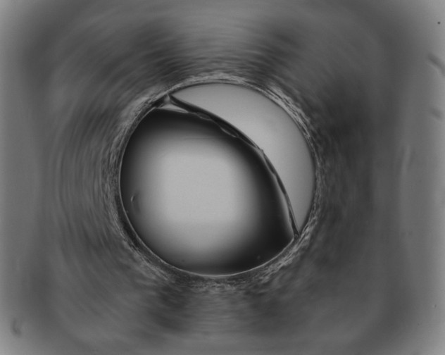 X0000090970193200708301234