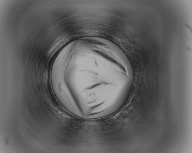 X0000090970194200708301234