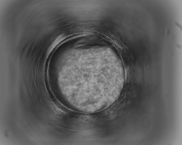 X0000090970195200708301234