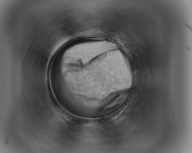 X0000090970196200708301234