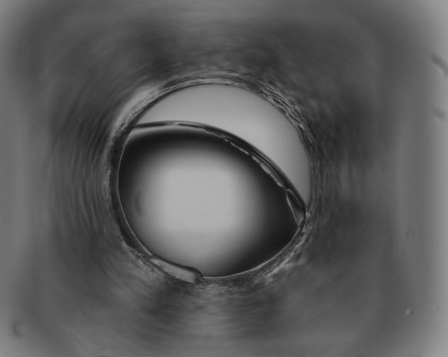 X0000090970197200708301234