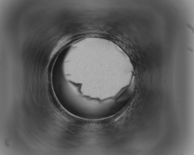 X0000090970198200708301234