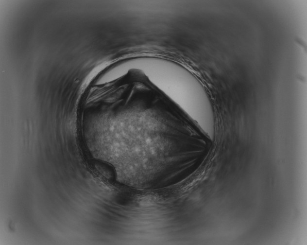 X0000090970200200708301234
