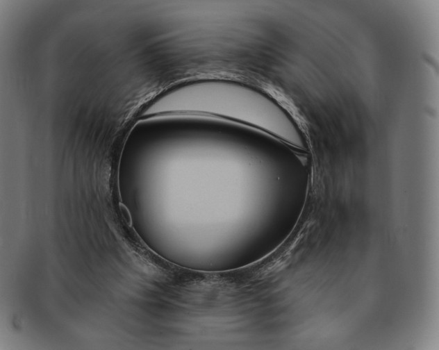 X0000090970201200708301234