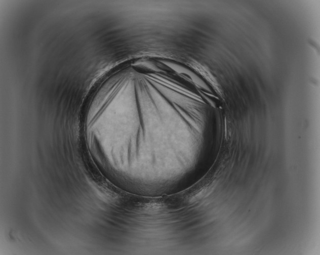 X0000090970204200708301234