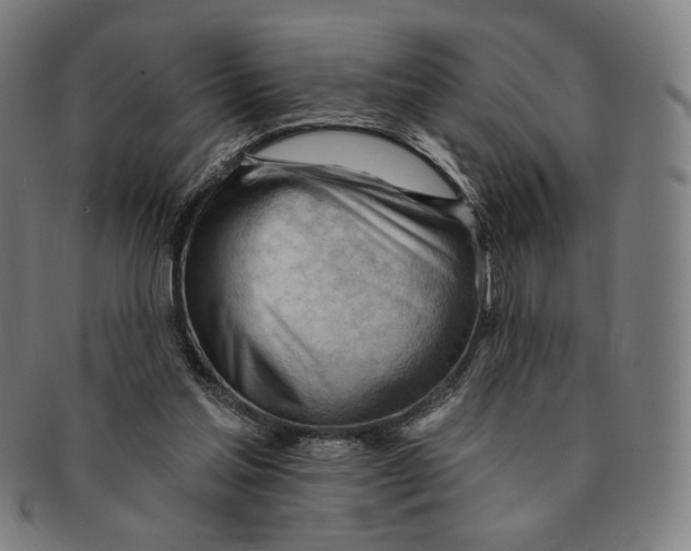 X0000090970205200708301234