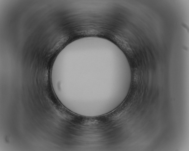 X0000090970206200708301234