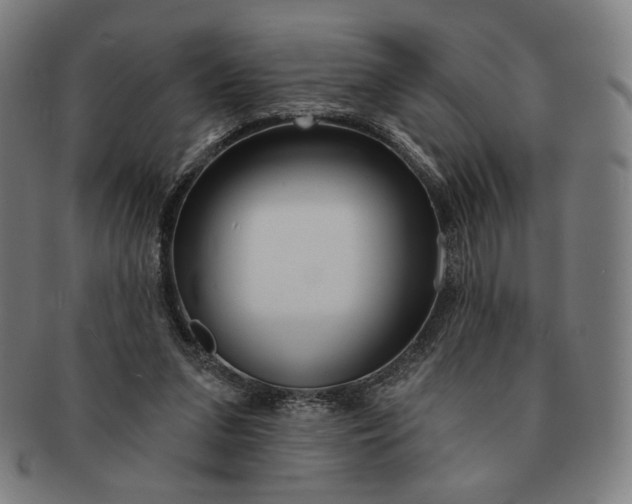 X0000090970207200708301234