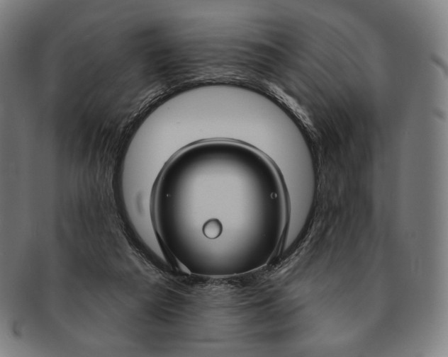 X0000090970209200708301234