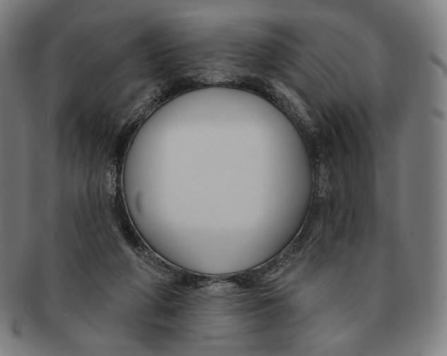 X0000090970210200708301233