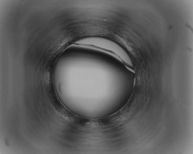X0000090970211200708301233