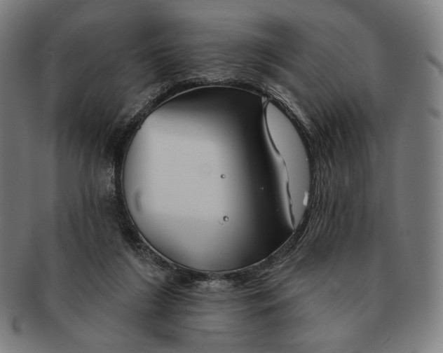 X0000090970212200708301233