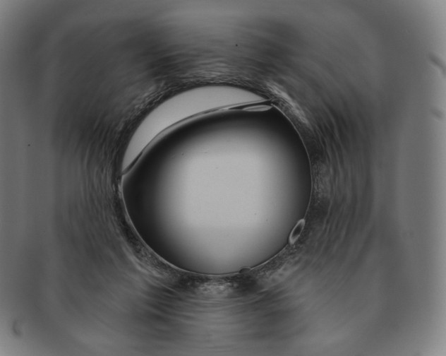 X0000090970213200708301233