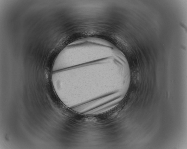 X0000090970214200708301233