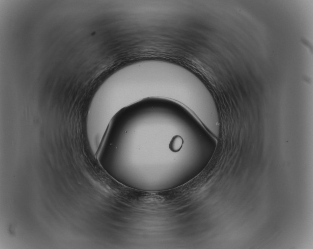 X0000090970215200708301233