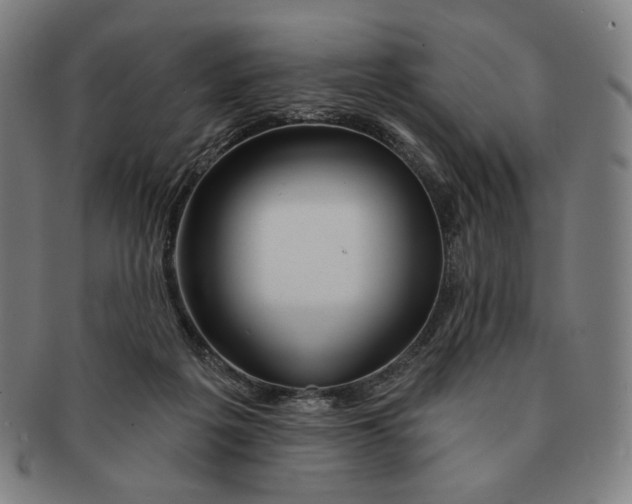 X0000090970217200708301233