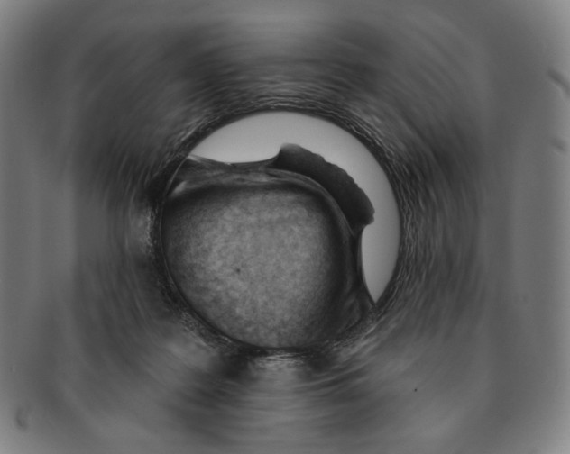 X0000090970219200708301233