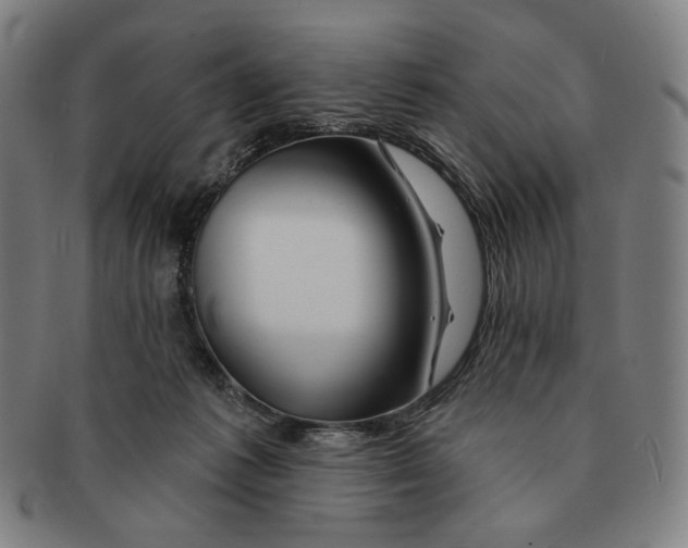 X0000090970221200708301233