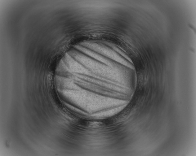 X0000090970222200708301233