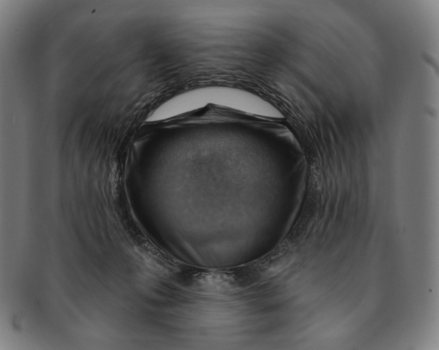 X0000090970223200708301233