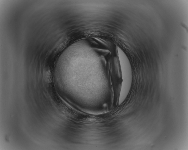 X0000090970224200708301233