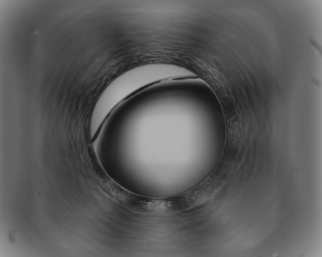 X0000090970225200708301233