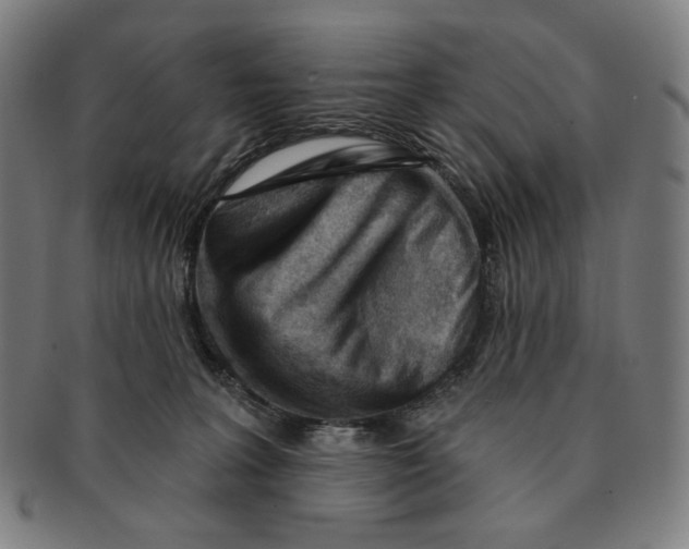 X0000090970227200708301233