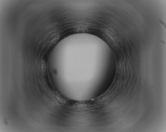 X0000090970228200708301233