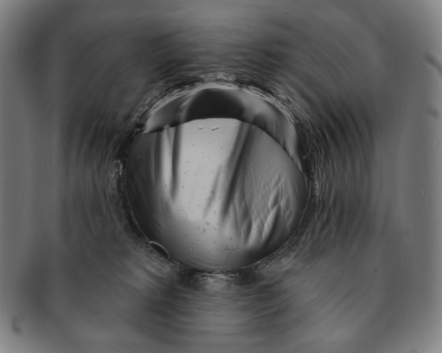 X0000090970229200708301233
