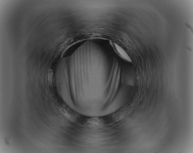 X0000090970231200708301233
