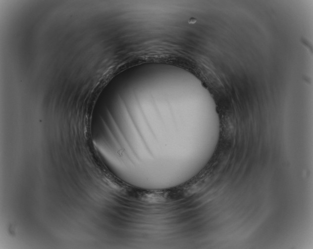 X0000090970232200708301233