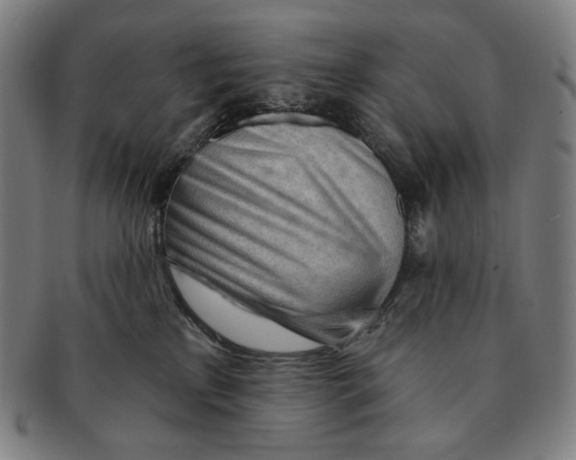 X0000090970233200708301233