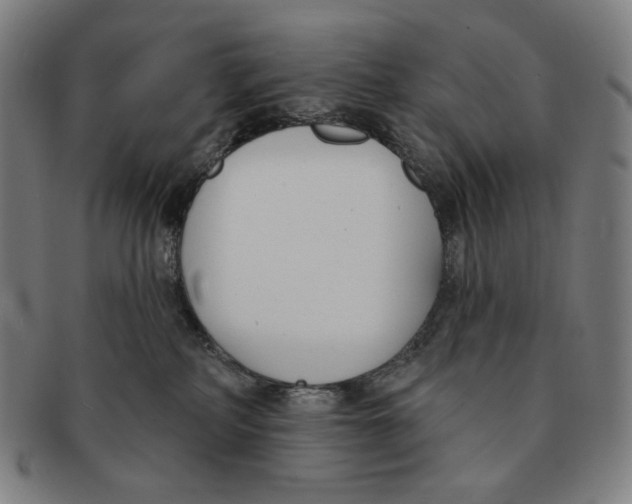 X0000090970234200708301233