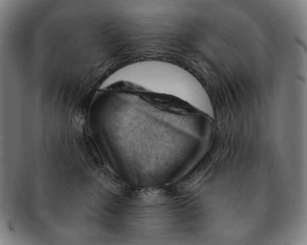 X0000090970235200708301233