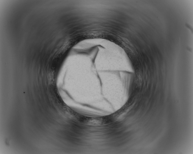 X0000090970236200708301233