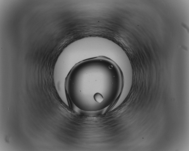 X0000090970237200708301233