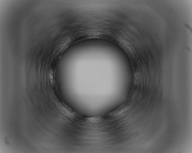 X0000090970238200708301233