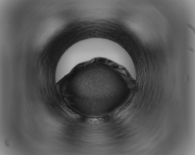 X0000090970239200708301233
