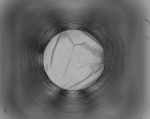 X0000090970240200708301233