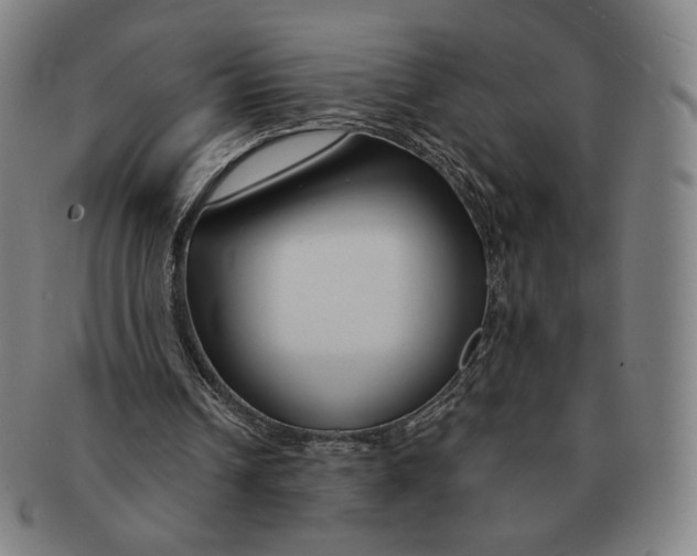 X0000090970242200708301232