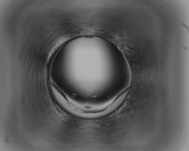 X0000090970244200708301232