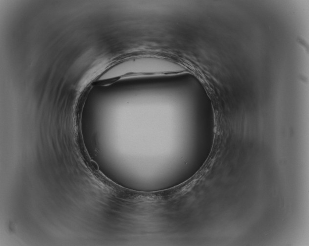 X0000090970245200708301232