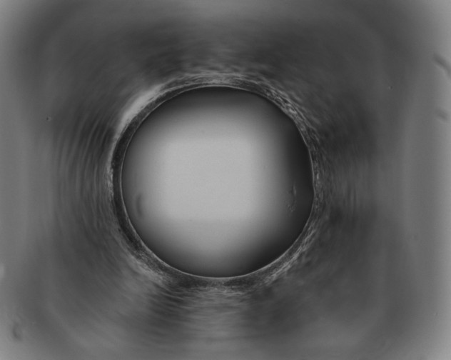 X0000090970246200708301232